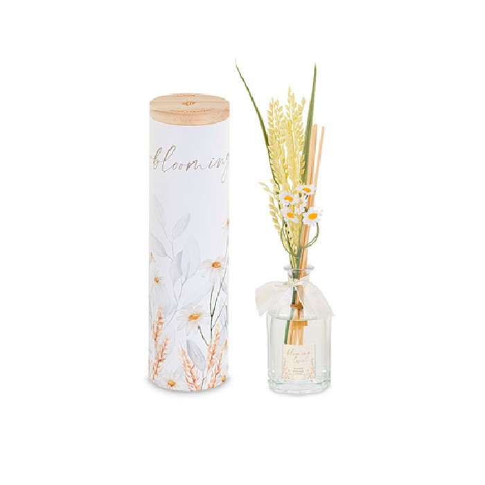 home-decor/candles-home-fragrance/diffuser-camomile-120ml-with-scents-h275cm