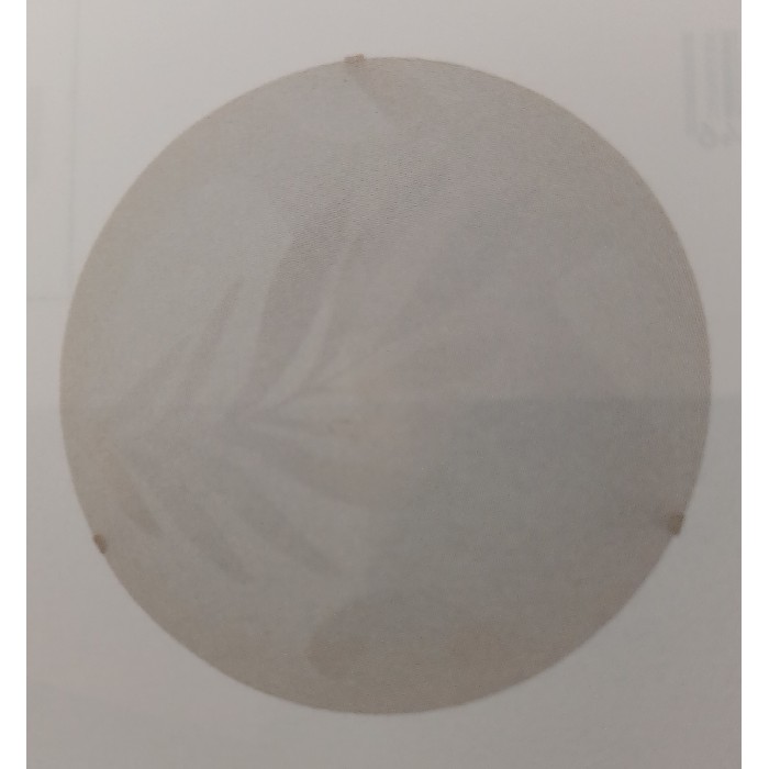 lighting/ceiling-lamps/ceilingwall-light-lucia-1xe27-palm