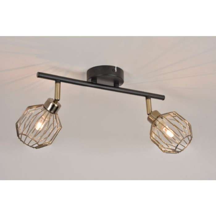 lighting/spotlights-recessed-lighting/orin-spot-2l-2xg9-blackbrass