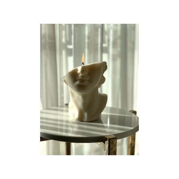 home-decor/candles-home-fragrance/myth-and-wild-david-bust-sculptural-pillar