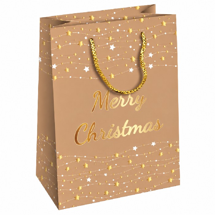 christmas/wrapping-paper-ribbons/medium-kraft-christmas-gift-bag-18cm-x-11cm-x-23cm