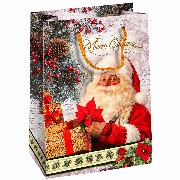 christmas/wrapping-paper-ribbons/small-santa-christmas-gift-bag-13cm-x-5cm-x-16cm
