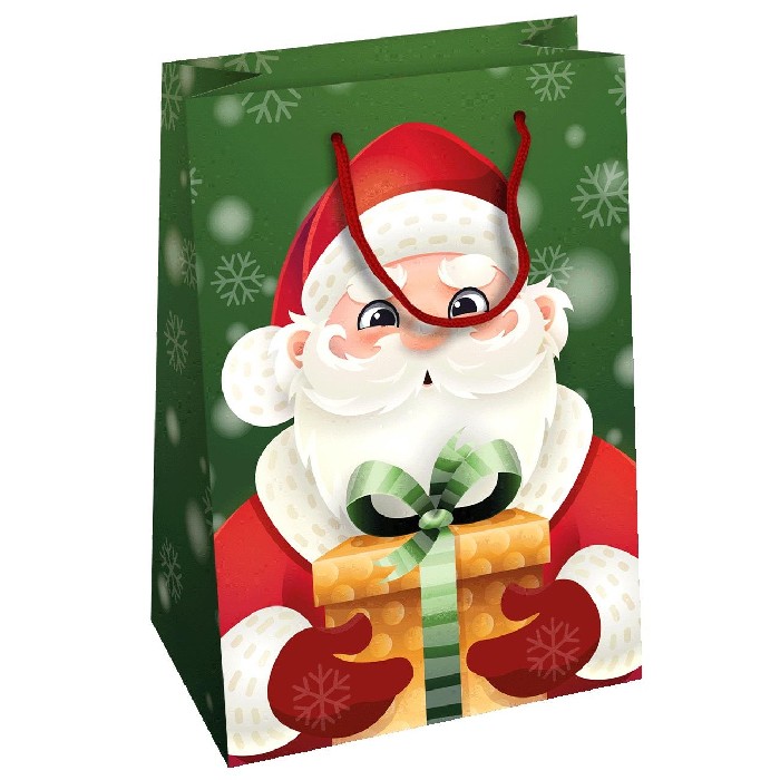 christmas/wrapping-paper-ribbons/medium-santa-claus-christmas-gift-bag-20cm-x-11cm-x-25cm