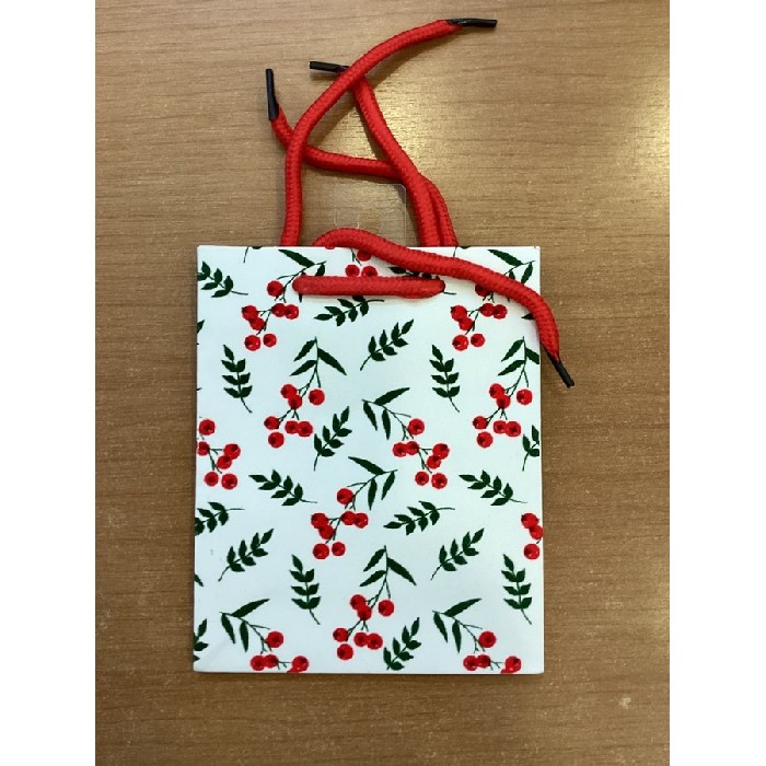 christmas/wrapping-paper-ribbons/small-red-christmas-gift-bags-–-pack-of-10-13cm-x-6cm-x-16cm