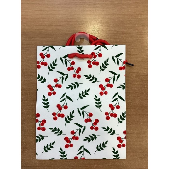 christmas/wrapping-paper-ribbons/medium-red-christmas-gift-bags-–-pack-of-10-18cm-x-11cm-x-23cm