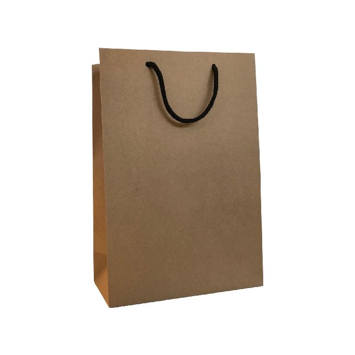 home-decor/giftware-articles/sml-bag-x-10-kraft-13x6x16