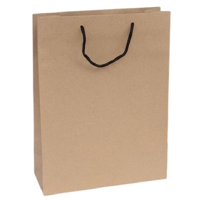 kids-and-stationery/stationery-gift-bags-wrapping-paper/florio-kraft-paper-gift-bags-25cm-x-11cm-x-35cm