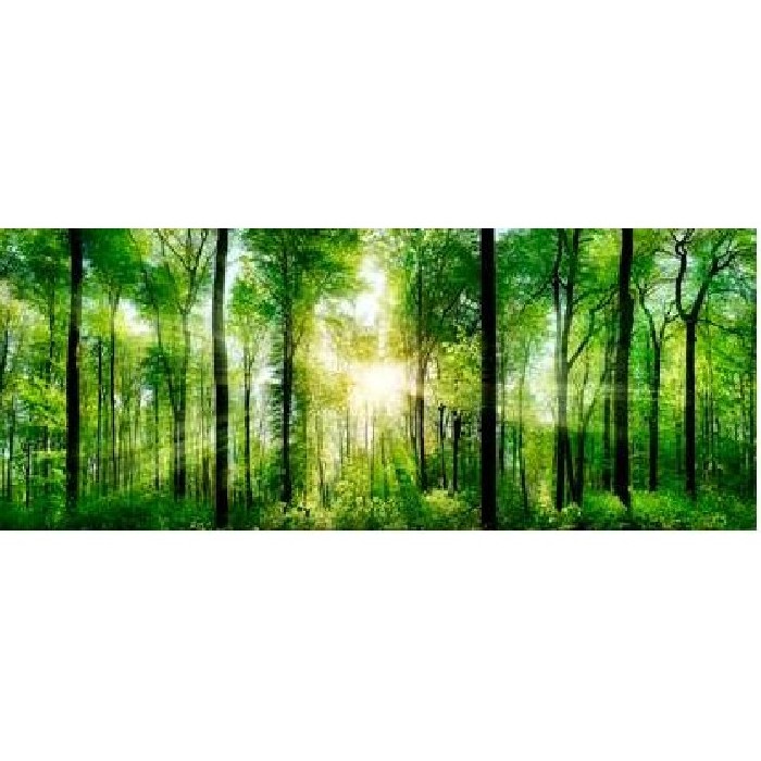 home-decor/wall-decor/styler-glasspik-50x125-ex121-sunlight