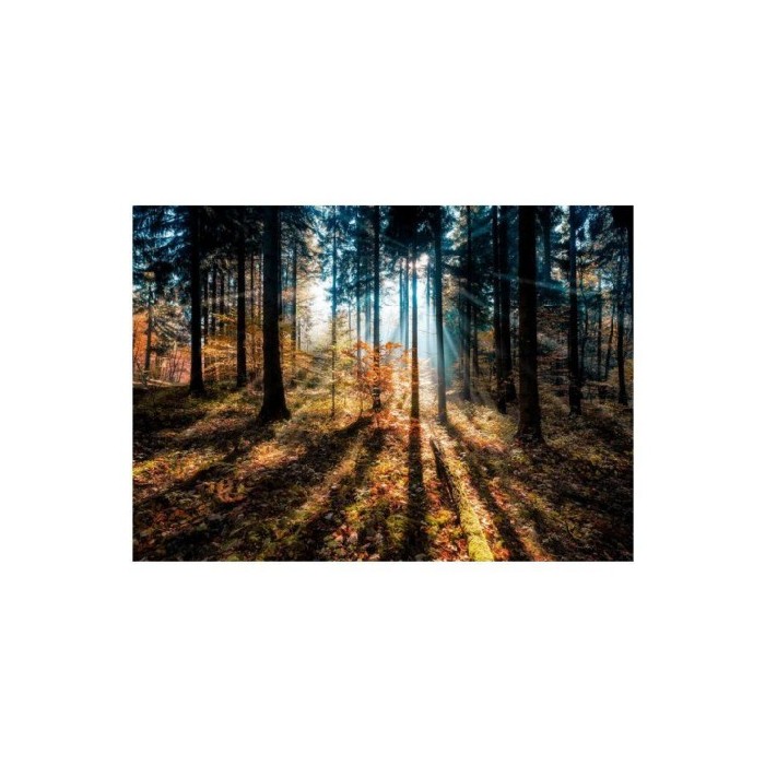 home-decor/wall-decor/styler-glasspik-70cm-x-100cm-ex590-autumn-sunset
