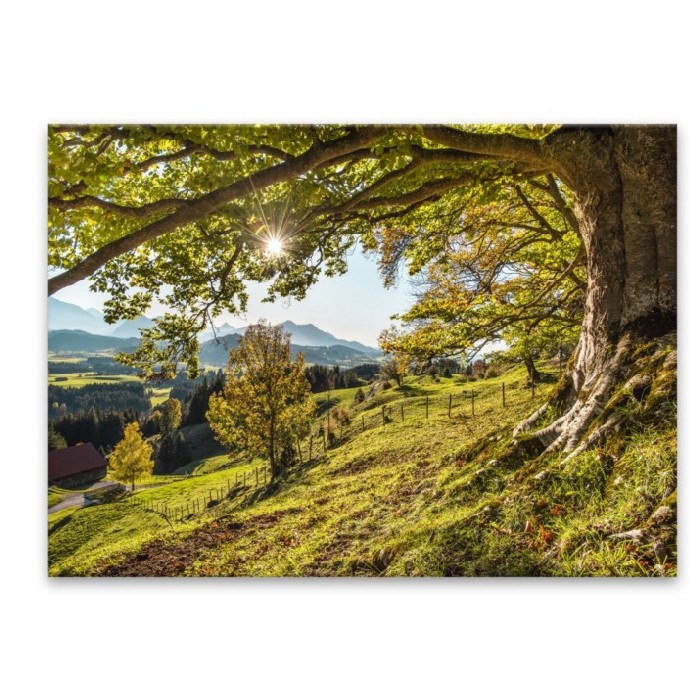home-decor/wall-decor/styler-glasspik-80x120-st545-green-tree
