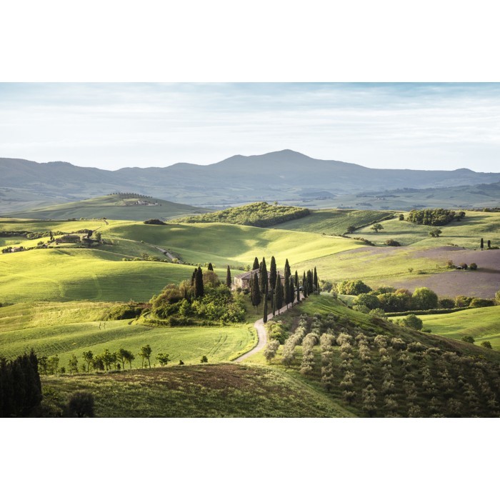 home-decor/wall-decor/styler-glasspik-80cm-x-120cm-st546-tuscany