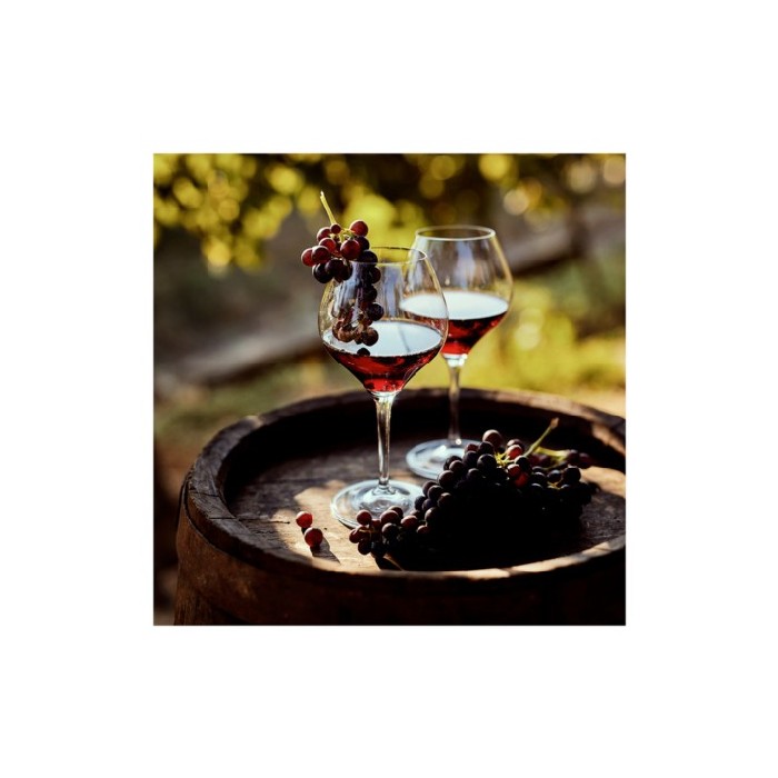 home-decor/wall-decor/styler-glasspik-30x30-gl399-glass-wine