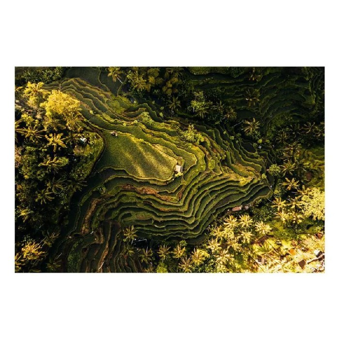 home-decor/wall-decor/styler-glasspik-wall-art-80cm-x-120cm-gl533-rice-fields