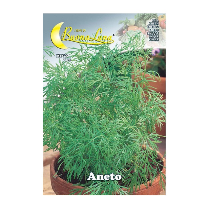 gardening/seeds/aneto-seeds
