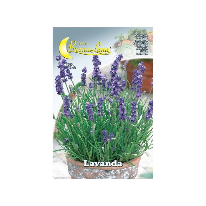 gardening/seeds/lavanda-seeds