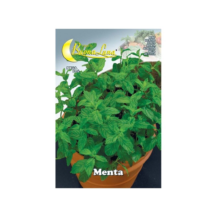 gardening/seeds/mint-seeds