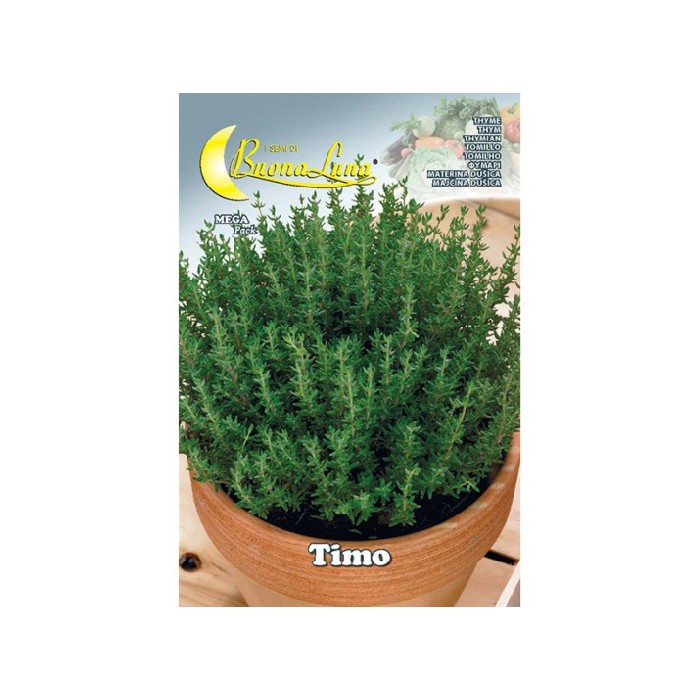 gardening/seeds/timo-seeds