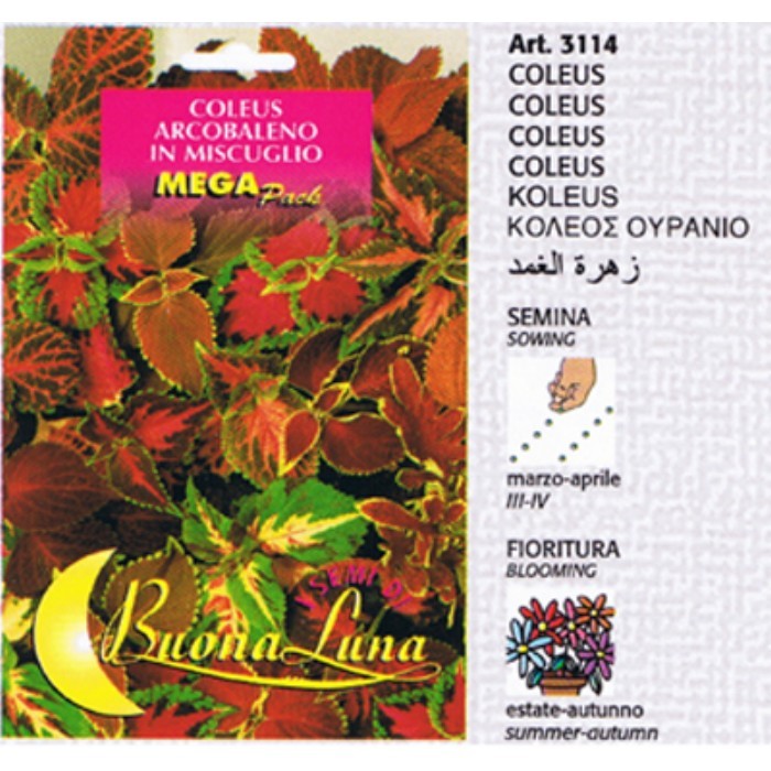 gardening/seeds/coleus-arcobaleno-mix-3114