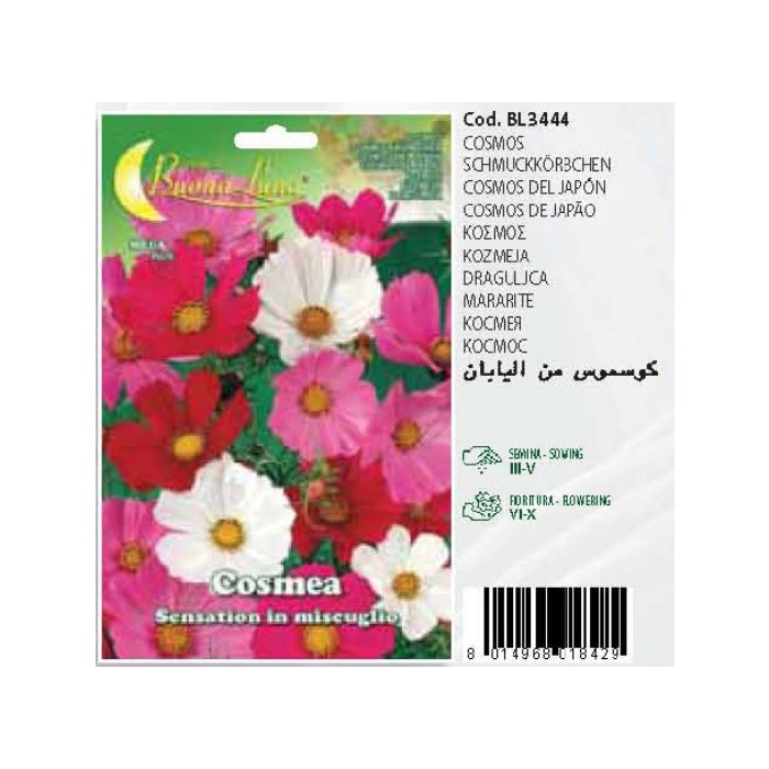 gardening/seeds/cosmea-sensation-in-mix