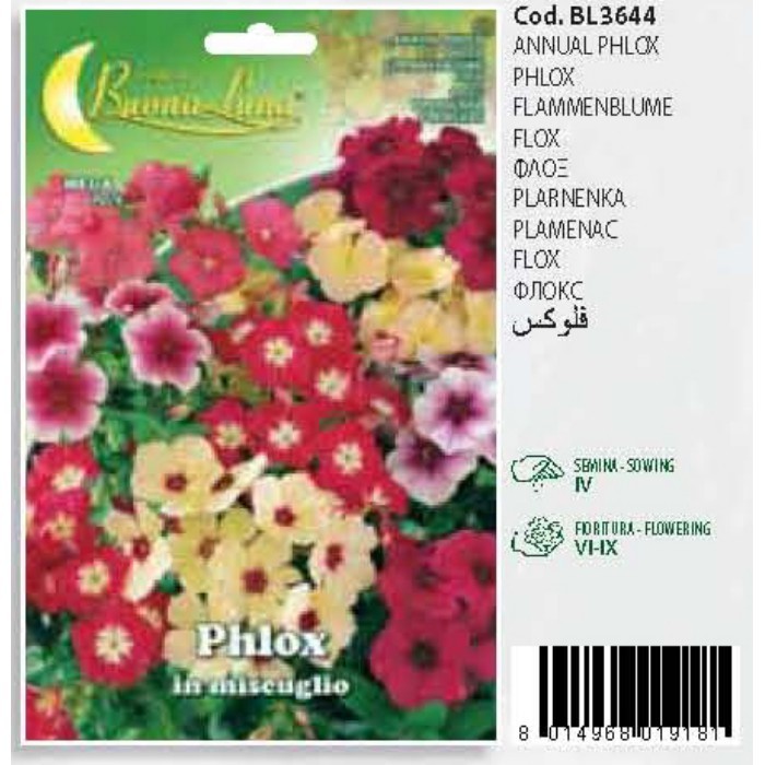 gardening/seeds/phlox-3644