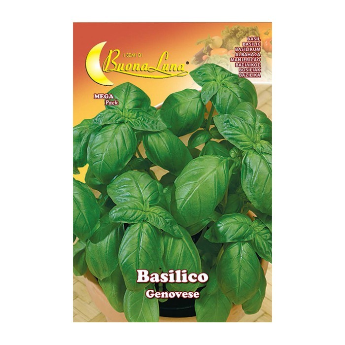 gardening/seeds/basilico-genovese-0051