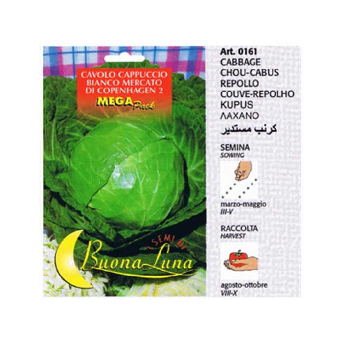 gardening/seeds/cabbage-seeds