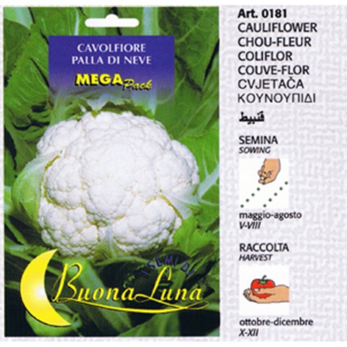 gardening/seeds/cauliflower-seeds