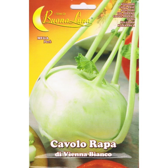 gardening/seeds/cabbage-seeds