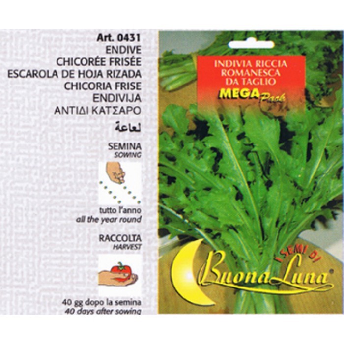 gardening/seeds/cut-romanesca-curly-endive-seeds