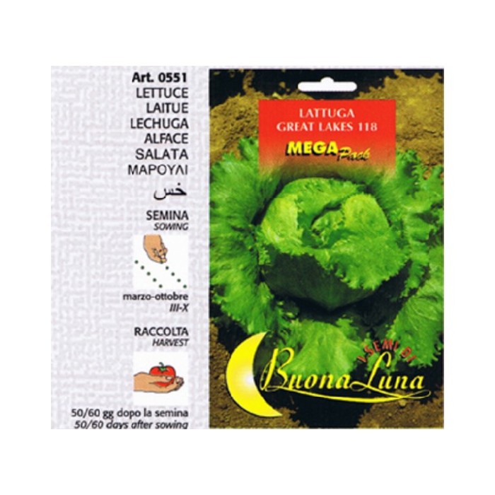 gardening/seeds/lattuga-great-lakes-bionda-parigi