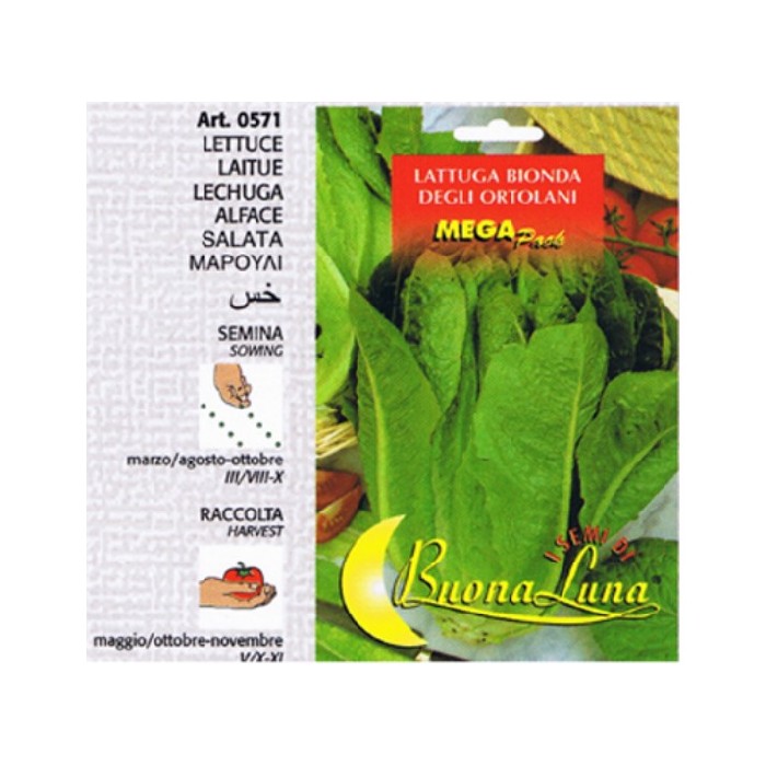 gardening/seeds/lattuga-bionda-degli-ortolani-0571