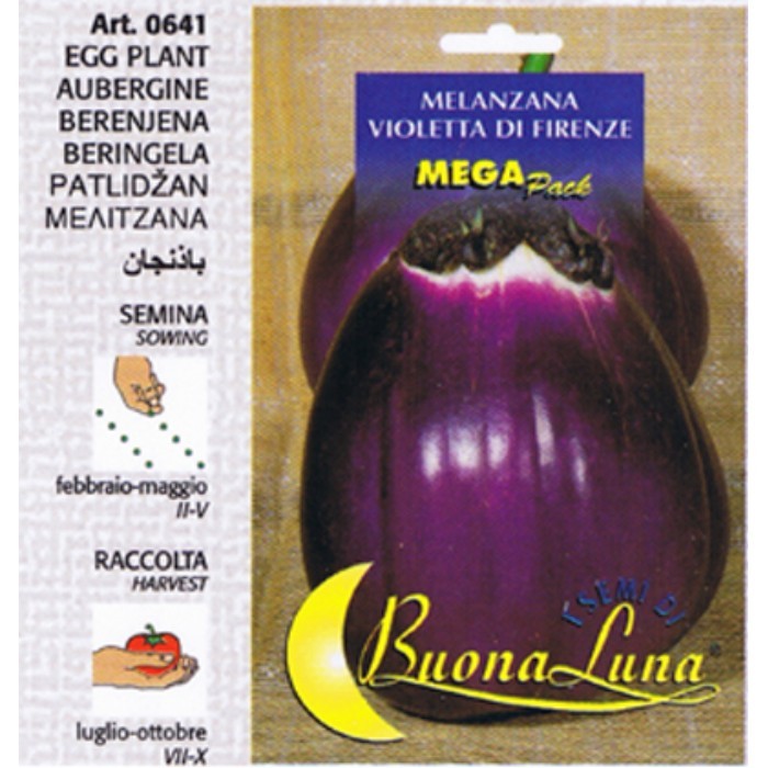 gardening/seeds/egg-plant-seeds