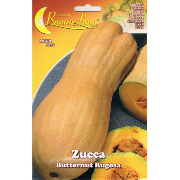 gardening/seeds/pumpkin-seeds