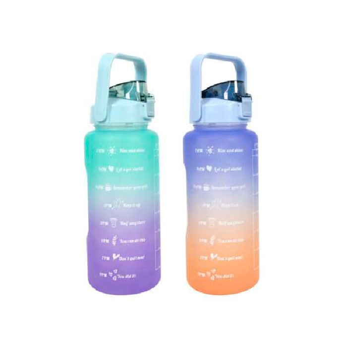 kitchenware/picnicware/drinking-bottle-2l-2-assorted