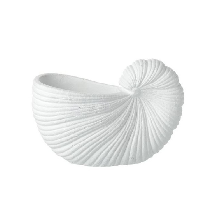 home-decor/indoor-pots-plant-stands/shell-pot-sm