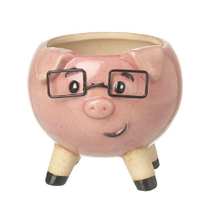 home-decor/indoor-pots-plant-stands/pig-with-glasses-pot