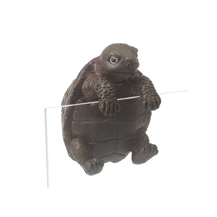 home-decor/indoor-pots-plant-stands/heaven-sends-tortoise-pot-hanger