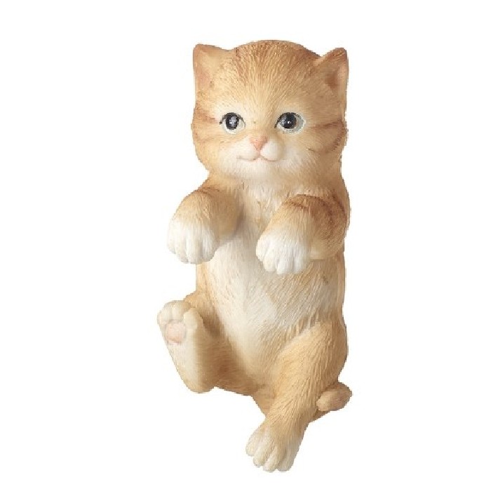 home-decor/indoor-pots-plant-stands/cat-pot-hanger