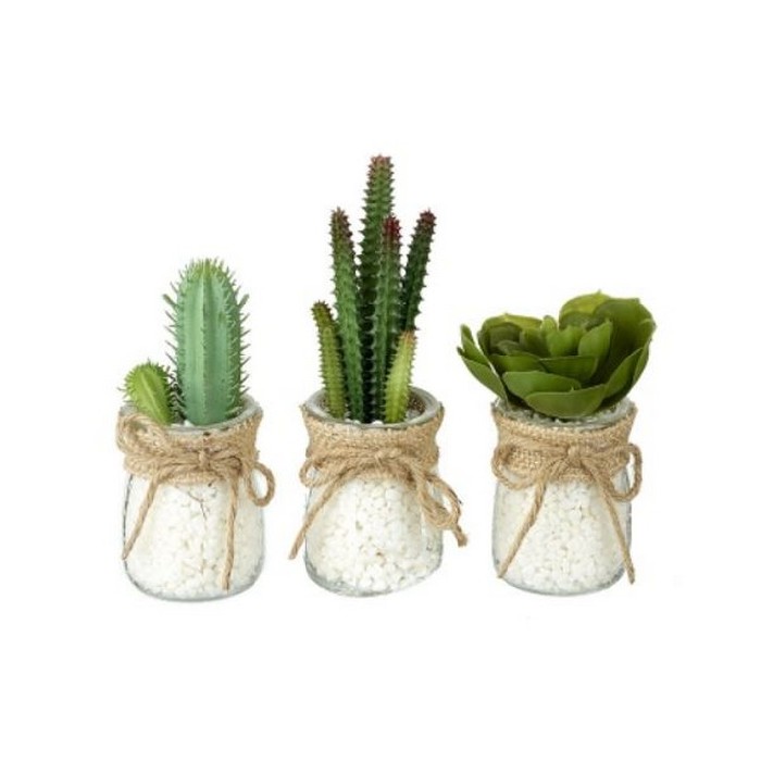 home-decor/artificial-plants-flowers/succulents-in-clear-jar-3-assorted-designs