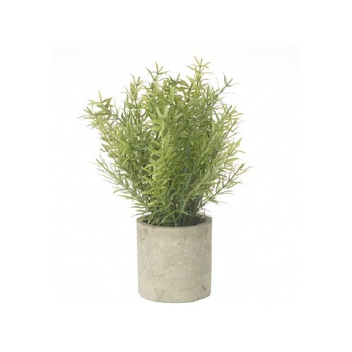 home-decor/artificial-plants-flowers/heaven-sends-green-plant-in-pot-19cm