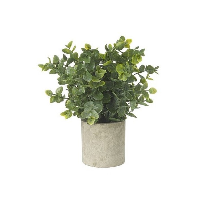 home-decor/artificial-plants-flowers/heaven-sends-eucalyptus-plant-in-pot