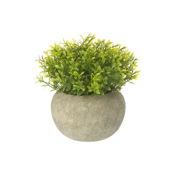 home-decor/artificial-plants-flowers/heaven-sends-small-green-plant-in-pot