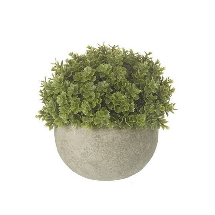 home-decor/artificial-plants-flowers/heaven-sends-small-green-plant-in-pot