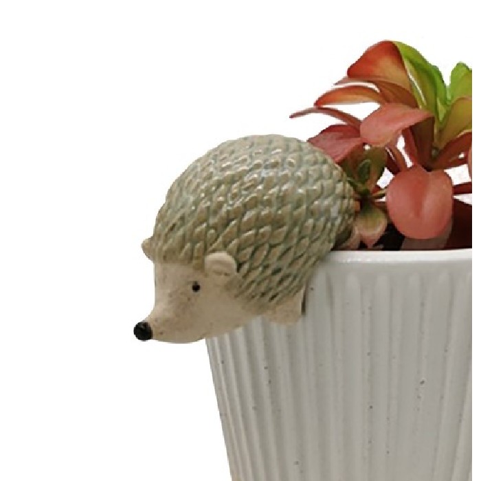 home-decor/indoor-pots-plant-stands/heaven-sends-hedgehog-pot-hanger-plant-pot-not-included