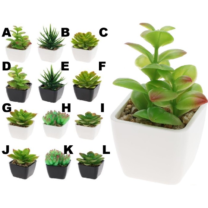 home-decor/artificial-plants-flowers/succulent-plant-in-pp-pot-–-12-assorted