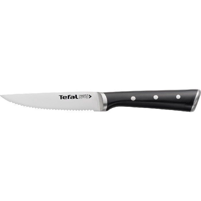 tableware/cutlery/tefal-kitchen-ice-force-steak-knives-set-x4