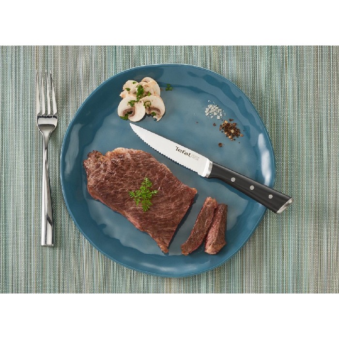 tableware/cutlery/tefal-kitchen-ice-force-steak-knives-set-x4