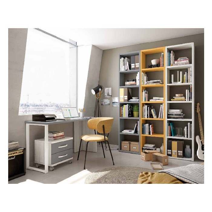 office/office-setups/lider-23go-composition-277-hibernian-zinc-and-mostaza