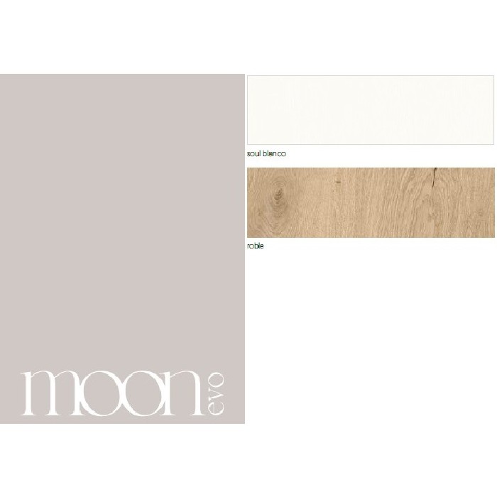 living/wall-systems/moon-evo-wall-unit-composition-19-finished-in-soul-blanco-and-roble