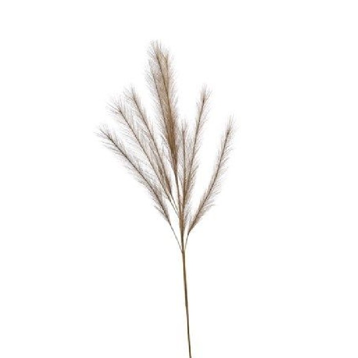 home-decor/artificial-plants-flowers/pennisentum-stem-brown-120cm